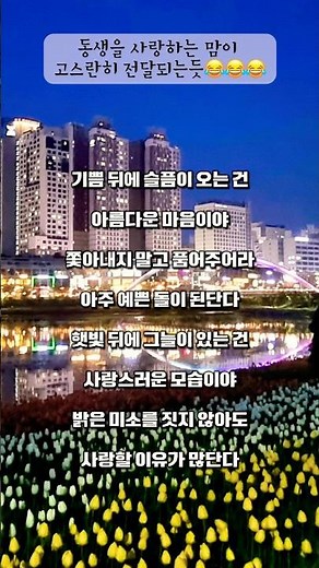 🎹악동뮤지션 신곡 / 기쁨, 슬픔, 아름다운 마음