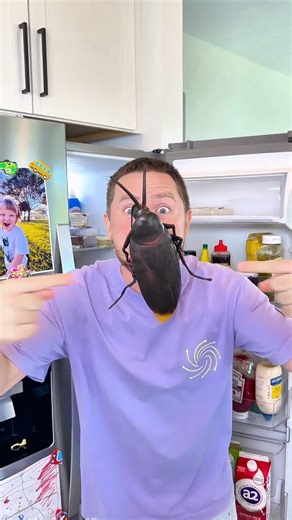 Marta and Rustam on Instagram: "A Giant Cockroach Attacked Him 😱🪳🫨 #comedy #viral #funny #giant cockroach attacked"