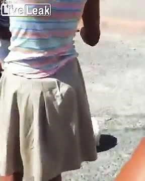 Liveleak - Dog gets stuck inside a cat