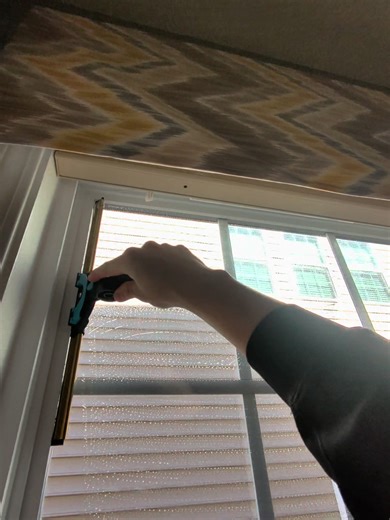 Satisfying Window Cleaning Techniques for a Crystal Clear View