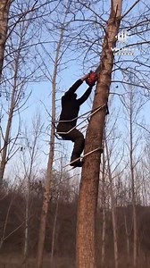 44K views · 277 reactions | tree climbing aids. | Friendly machines | Facebook