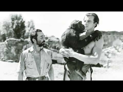 The New Adventures of Tarzan (1935)
