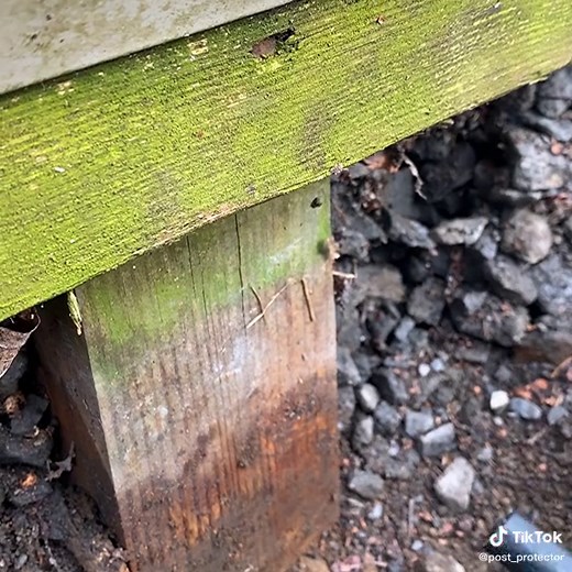 So you DON’T have Post Protector!?!😫😱As preservative depletes… decay fungi eat!“RE-TREAT” with POST PROSERVATIVE!💥#polebuilding #polebarn #postframe #ag #barndominium #barndo #fence #deck #pergola #postprotector #877wontrot #agriculture #equestrian #construction #concrete #hellno #farm #farmlife #fyp