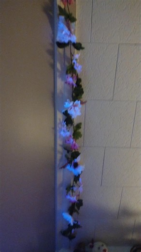 Rachel Allen (@allrach9)’s videos with Stuck In The Middle - Tai Verdes