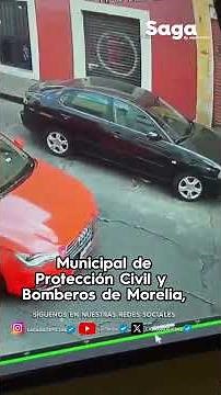 ANIMAL INVASION!: 5-FOOT snake FALLS from roof in the heart of downtown Morelia