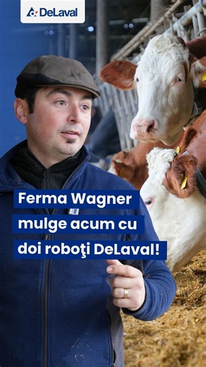 După ce a experimentat mulsul robotizat timp de trei ani, Virgil Andru, administratorul şi proprietarul Fermei Wagner, şi-a mai achiziţionat un robot de muls, tot DeLaval, însă modelul VMS V300, de ultimă generaţie. Investiţia a fost necesară pentru a susţine creşterea efectivului de animale... #robotdemuls #fermawagner #virgilandru #fermadevaci #vacidelapte #holstein #baltataromaneasca #delaval | Revista Ferma