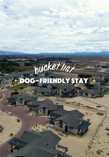 Welcome to Sanctuary Beach Resort a dog-friendly beachfront resort for your bucket list! Things to know - ✨ Recently refreshed with a modern, coastal charm ✨ Rooms, suites, and villas nestled on the beach Avg nightly rate is -$500 ✨ Short drive to downtown Monterey ✨ $50/per night pet fee ✨ 2 Dogs and cats welcome up to 90lbs Amenities - 🌊 Secluded dog-friendly beach Nightly bonfires 🍽️ Delicious on-site restaurant 🚲 Complimentary bikes & Beach yoga and hikes on the weekends 💚 Bocce ball cou