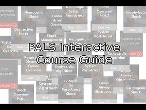 2019 PALS Interactive Course Guide