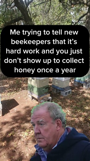 new beekeeper just dont know lol #beekeeper #beekeeping #newbeekeeper #funny #agriculture #short