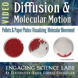Diffusion Lab—Molecular Motion and Change of State  Video & Written Instruction