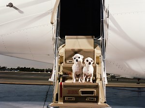 Billionaires say a private jet is one of life's greatest luxuries. Here's how much it costs.