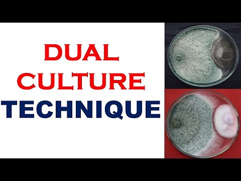 Dual Culture Technique
