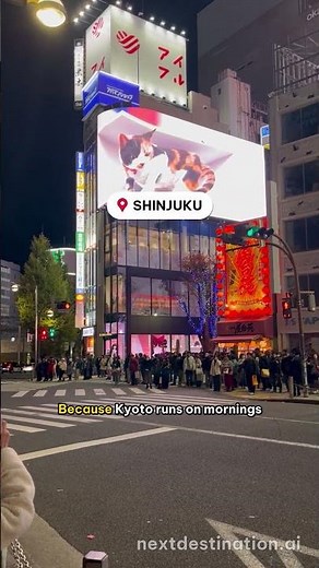 Tokyo or Kyoto First? The 7-Day Japan Order 🗾