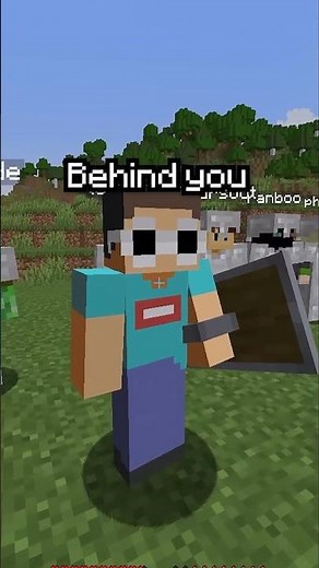 Minecraft, But It's YOU Vs. ME...