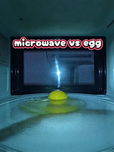 Microwave vs Egg: The Ultimate Cooking Showdown