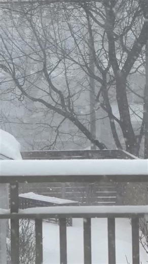 Amy Jo Johnson on Instagram: "Getting cozy…"