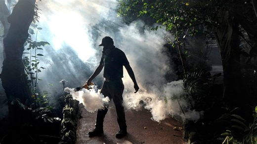 What to know about pest-borne diseases