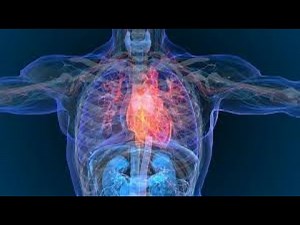 Traits of The Female Psychopath-Trickery and Deception