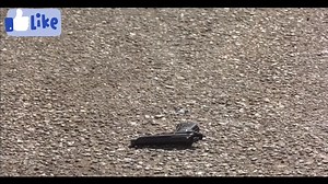 Richard 😍💯 Gere magic! 🎥 🎉❤️ Breathless (1983 American) @topfans 𝑭𝒐𝒍𝒍𝒐𝒘𝒆𝒓𝒔. #trendingnowreels #reelschallenge #RichardGere #movies #trendingnow #reelstrending #ukreels #usareels #spainnow #usa #foryouシ #viralvideochallenge #viralreelschallenge #virals #follower #followersreels #viralreelsfacebook #waltdisneyworld #waltdisney #viralvideo #reelsfacebook #facebookreelsviral | I like Richard Gere