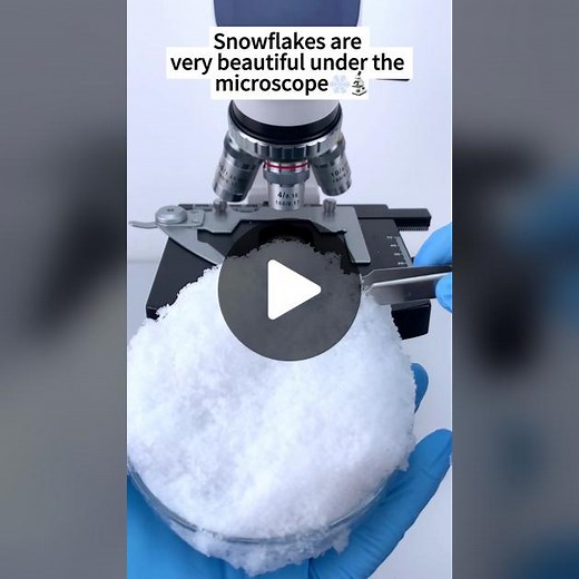 Exploring Snowflakes Under a Microscope