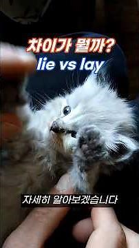 What's the difference? 'lie vs lay'—lying down or making someone lay down? #BeginnerEnglishVocabu...