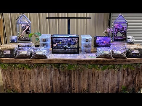 LIVE Basic Bioactive Design Demo-Day 1-@Repticon Orlando, FL 12x12x18 Exoterra #crestedgecko #frog