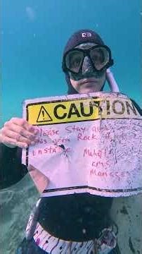 Wild Discovery During Ocean Cleanup!