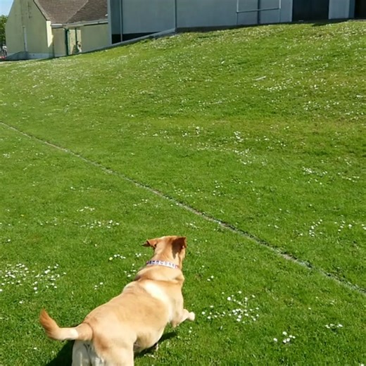 David watson (@davidwatson035)’s videos with original sound - David watson