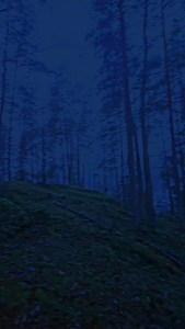 liminal dream | Coldvisions