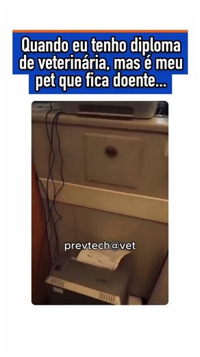 Quando o pet do veterinário fica doente, ele esquece até que tem diploma hahaha 😂 #medvet #vet #ve