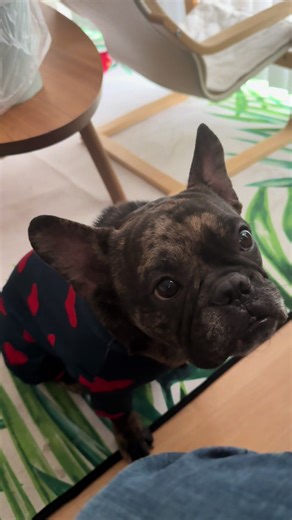 Happy February 14th. Given the choice every day choose love. As the monks have been saying, write a note to yourself declaring that today is my peaceful day.