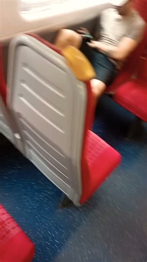 SWR Class 455 loud traction motor sound