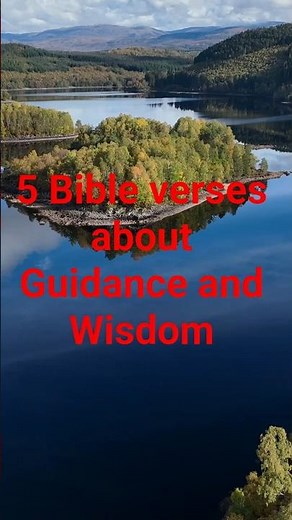 🕊️✨ 5 Bible Verses About Guidance & Wisdom | Bible Verses 📖