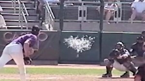 15 years ago today, Randy Johnson ended a bird's life with a fastball. This is the story of the infamous pitch from the bird's perspective. via FOX Sports Arizona | FOX Sports