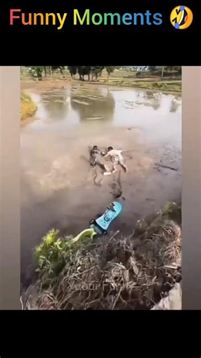 Drawing of funny moments 🤣.#funny#viral