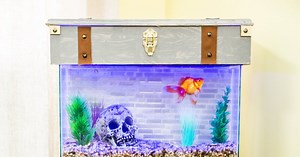 DIY Pirate Chest Aquarium