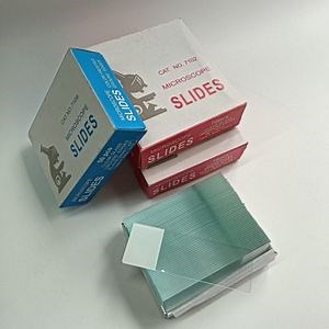 [Hot Item] Medical Histology Prepared Slides Prepared Microscope Slides