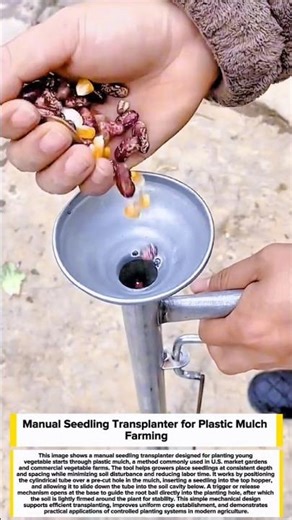 Manual Seedling Transplanter for Plastic Mulch Farming #farming