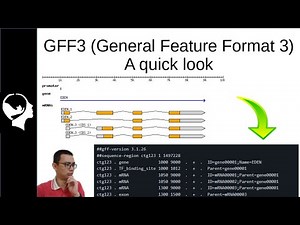 GFF3 File Format | Clearly Explained