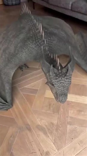 Cute Dragon Art & Funny Animals! #dragonart #cuteanimals