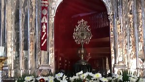 2.8K views · 88 reactions | SANTA LUCIA 2021 To share with you our fiesta experience and devotion, here is a short fiesta celebration video through our eyes/lens. Viva Santa Lucia! Puera Sakit! ☺️ #SantaLucia #Sasmuan #ApuLucia #PueraSakit #SaintLucy #Syracussa #Eyes #VirginAndMartyr #Martyr #TDF #TalleresDeFatima #AMDG Credits: Sta. Lucia Parish San Agustin Parish, City of San Fernando Music for Video Library | Talleres de Fatima | Facebook