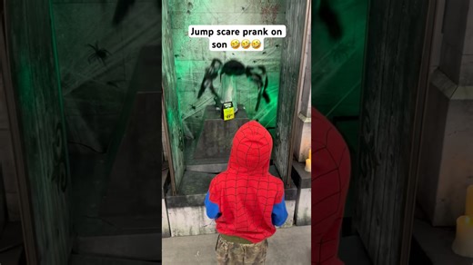 Spider Prank on Son Leaves Everyone in Tears