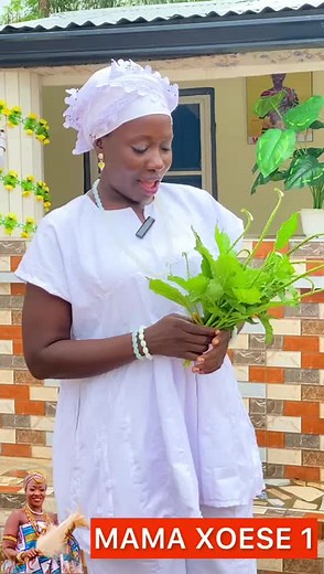 MAMA XOSE: Traditional Presentation of Green Plants