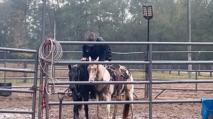Don’t try this at home 😂😂 unless you have a good horse to work off of | Eric Stringer