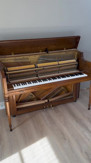 Customer Breaks String on Piano - The Piano Doctor