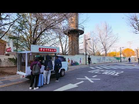 Seoul Walking Tour | Seoul National University, Jeonnong-dong Stroll | 4K