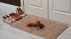 The dirty truth about taking your shoes off at the door
