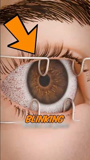 WHAT Happens If You Stop Blinking? 😳