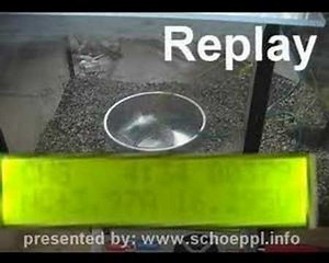 Lithium Ion Ionen battery overcharge & explosion