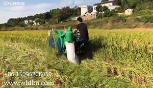 Rice Harvester Model:4LZ-0.8 Cutting pair:1.2 m Feeding amount:0.8 kg / sec Supporting power:192 air-cooled diesel engine Machine weight:470 kg www.wfdbn.com 86 15095208459 Breaking rate:≤5% Production efficiency:0.8-1.5 Mu/h Miscellaneous rate:≤7% Waste rate:≤3% Fuel consumption:1.5L/Mu Cutting height：13-68cm | Agricultural machinery equipment